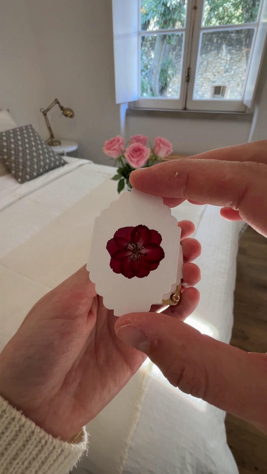 The same kind of flower pressed flat