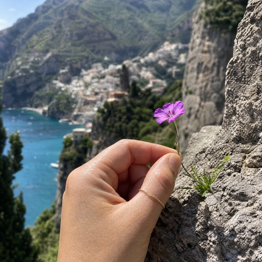 Pick a flower where you are